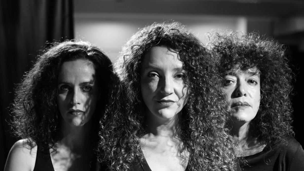 En la obra aparecen temas como la maternidad, la pérdida, el cansancio, la frustración, el gozo, la violencia, la memoria y la crisis nacional.