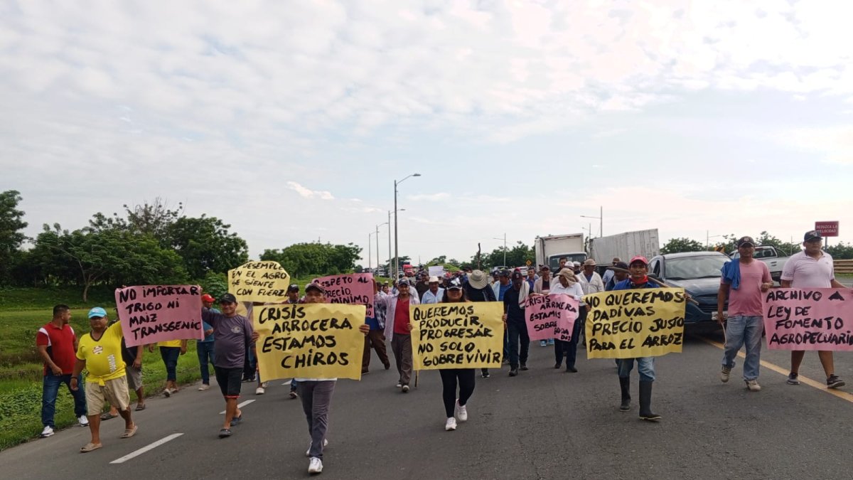Un grupo de arroceros marchan reclamando que no les pagan el precio justo por la saca del arroz.