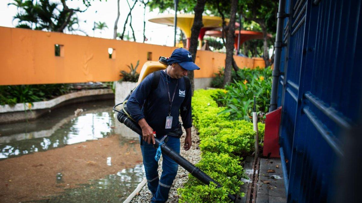 El Municipio de Guayaquil realiza labores de mantenimiento en el Malecón 2000.