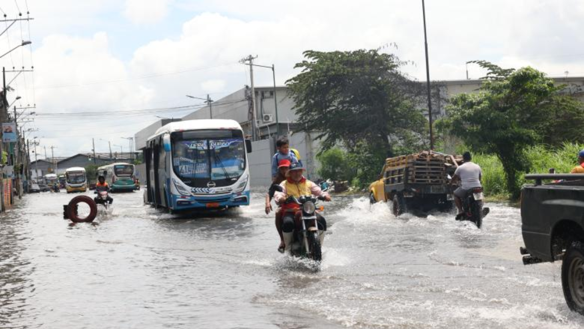 La resolución establece un plazo de 90 días para la aplicación de medidas urgentes.