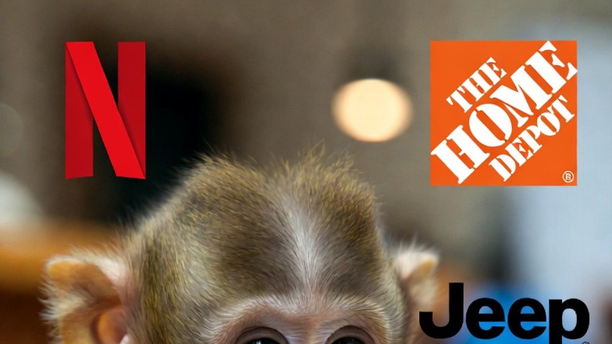 Millones de personas se emocionaron con la historia de Punch. Alguna marcas aprovecharon el momento.