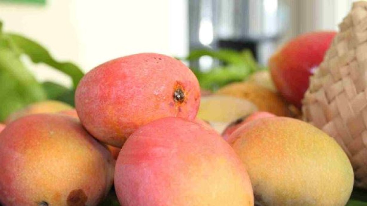 Frutas ecuatorianas en EE. UU.: cómo cambia el precio del banano, piña y mango.