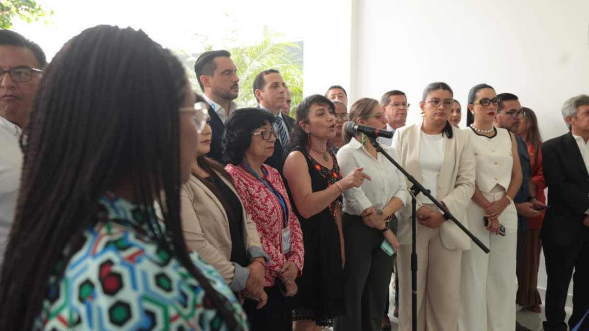 Los asambleístas del correísmo cuestionaron la reforma al Cootad.