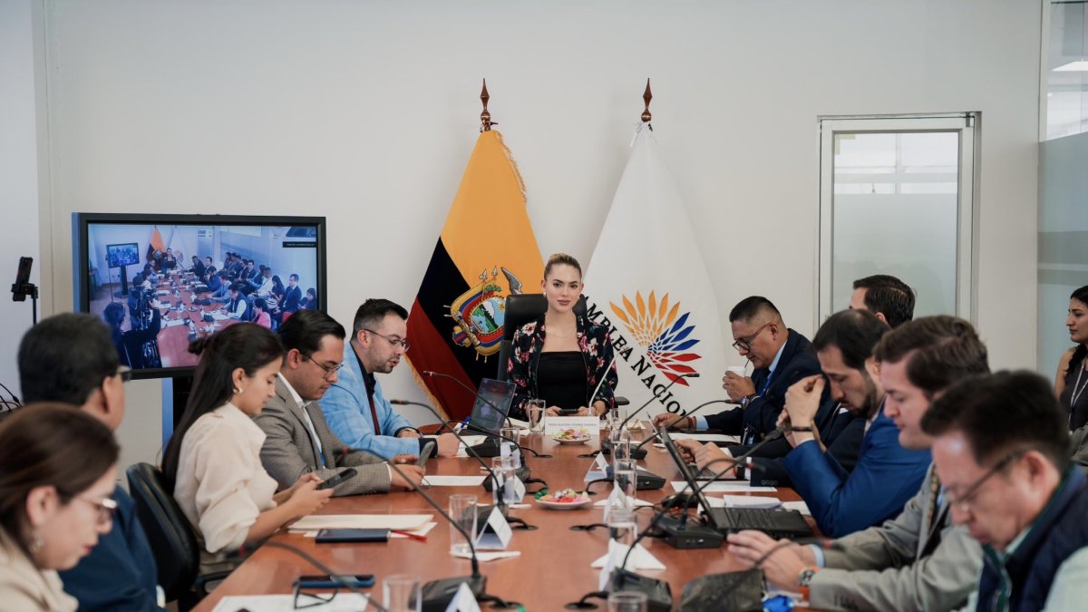 La Comisión de Justicia está liderada por la asambleísta de ADN, Rosa Torres.