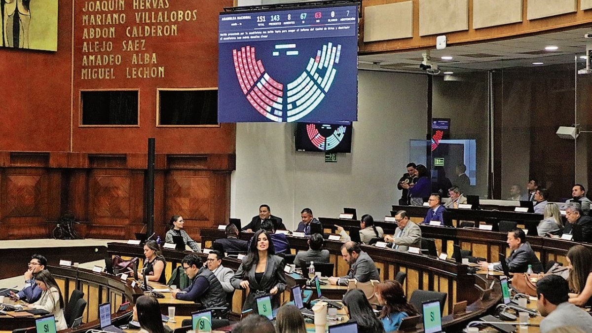 Legislativo. En el Pleno de la Asamblea, el oficialista ADN cuenta con el voto fijo de 69 asambleístas propios.
