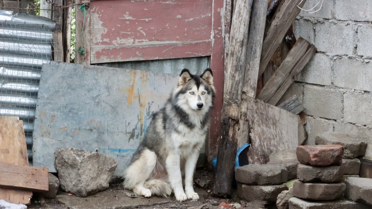 En noviembre de 2025, el CNA entregó a María José Pinto, vicepresidenta de Ecuador y encargada del Ministerio de Salud, un informe de actos irregulares en el sector.