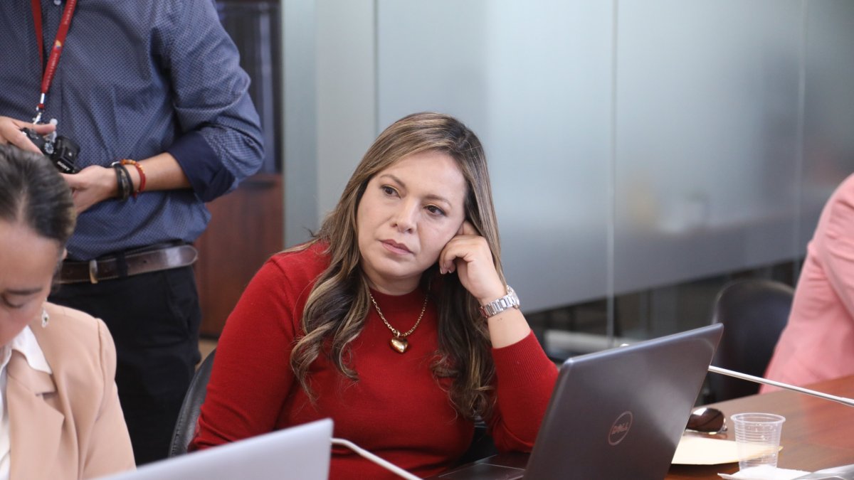 Ledy Zúñiga es asambleísta por Pichincha, Distrito 1, de la Revolución Ciudadana.
