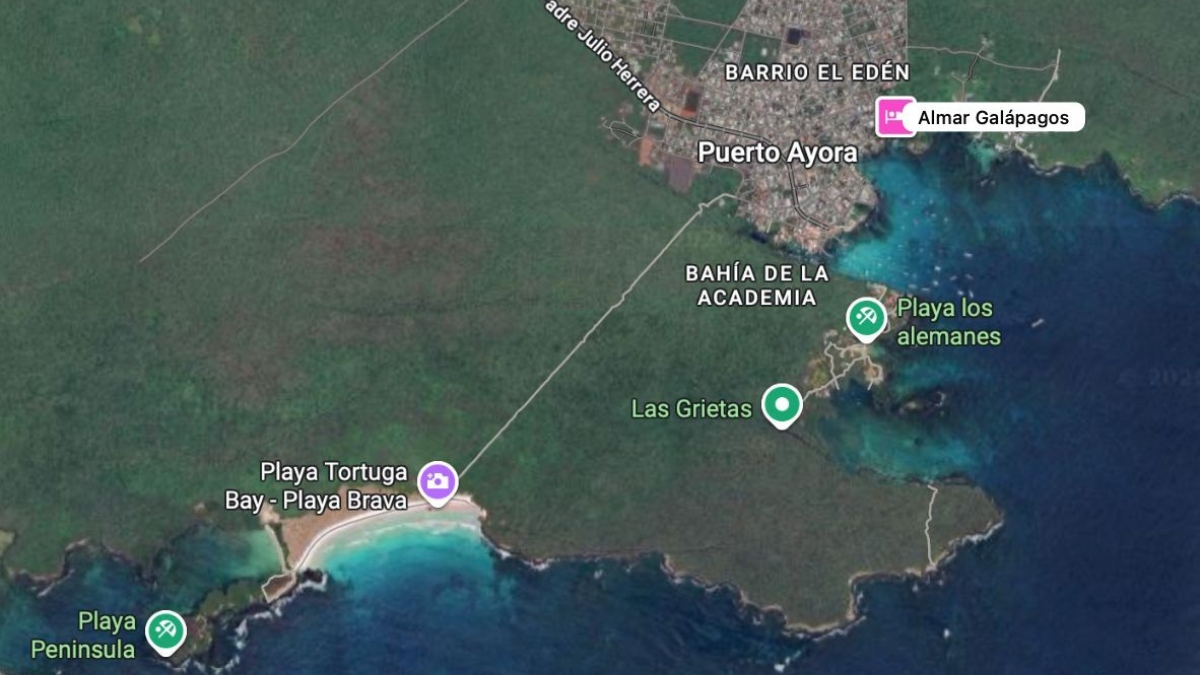 El presidente de EE.UU., Donald Trump.