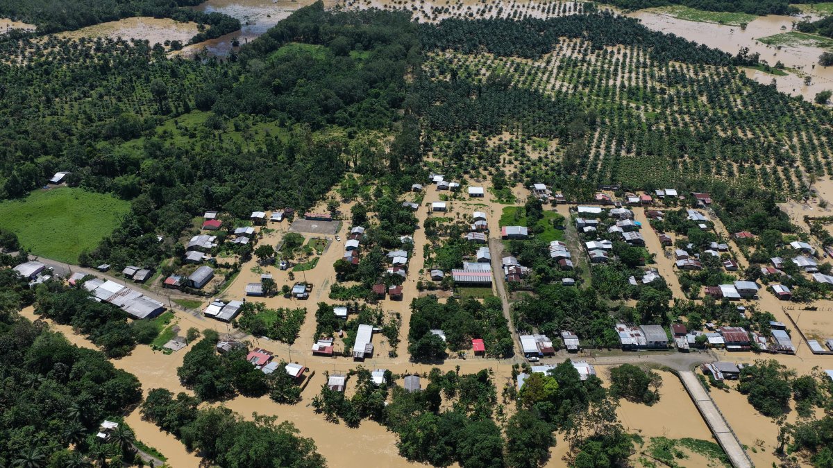 Más de 2.500 personas en Muisne perdieron sus hogares y cultivos tras el desbordamiento de cuatro ríos.