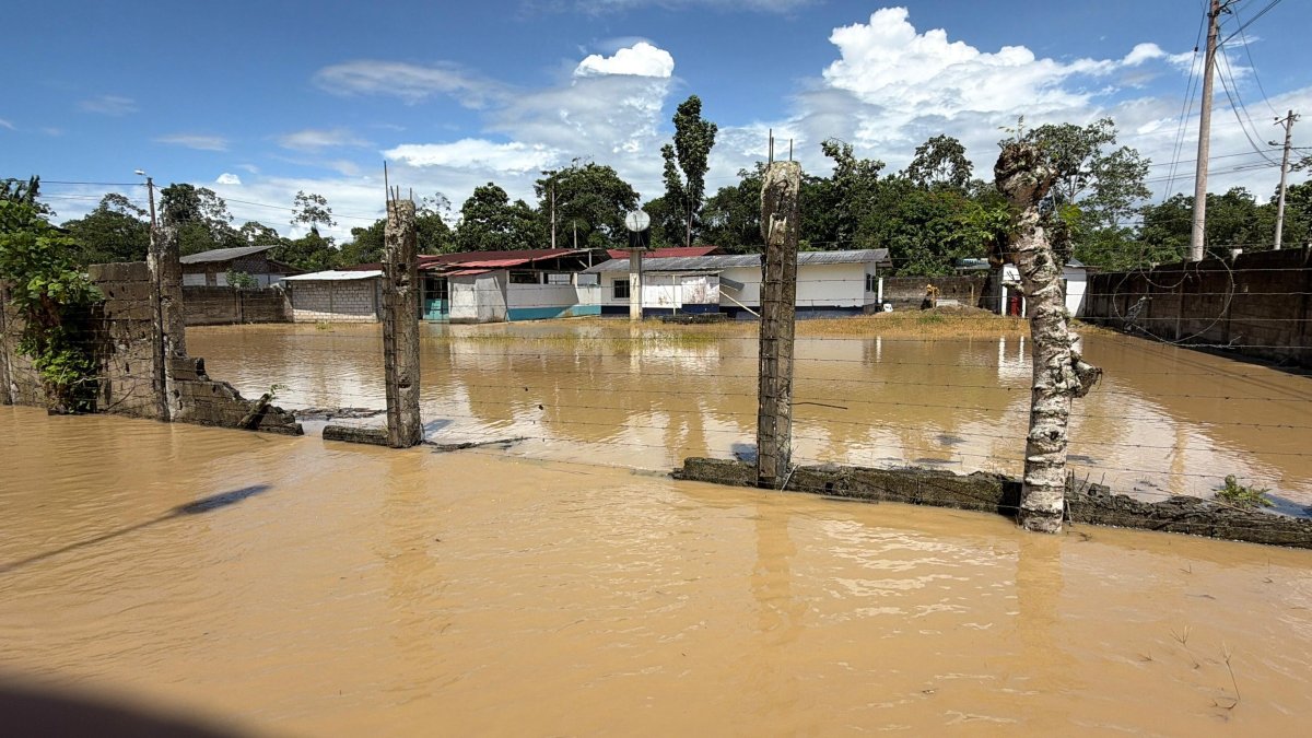 Desde la ceremocia del Grammy anglo, Kelly Osbourne ha encedido las alarmas ante el posible regreso de una tendencia estética dañina.