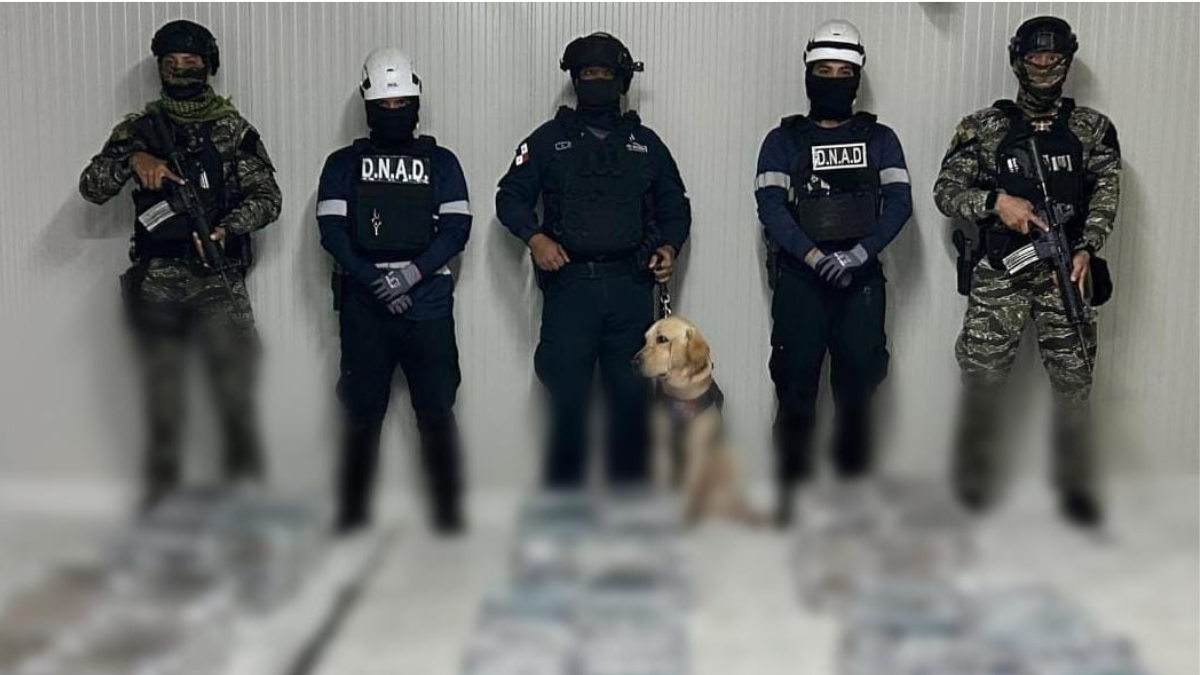 La Policía Nacional del Ecuador, a través de la Unidad de Investigación Antidrogas (UIAN), ejecutó el operativo denominado “ONIX”.