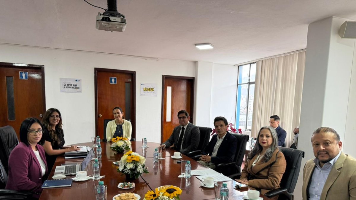 En la reunión estuvo la Ministra de Ambiente, la gerente de la EEQ y los concejales que integran la comisión.