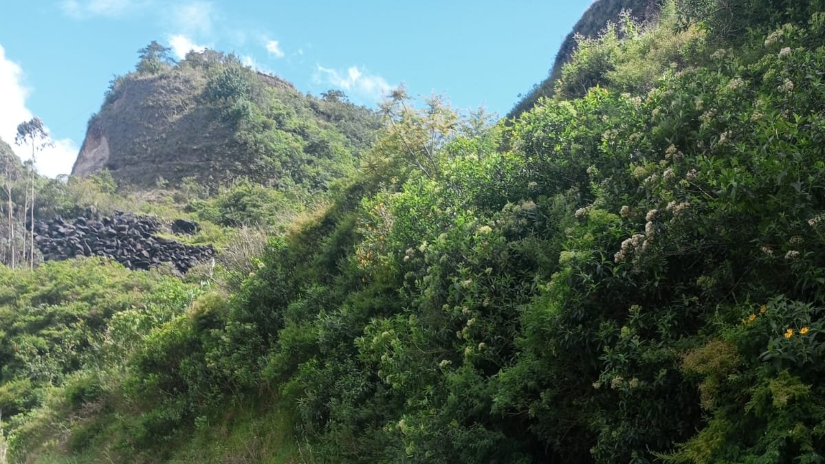 Después de cinco días de búsqueda encontraron el cuerpo sin vida de una de las hermanas desaparecidas en el aluvión.
