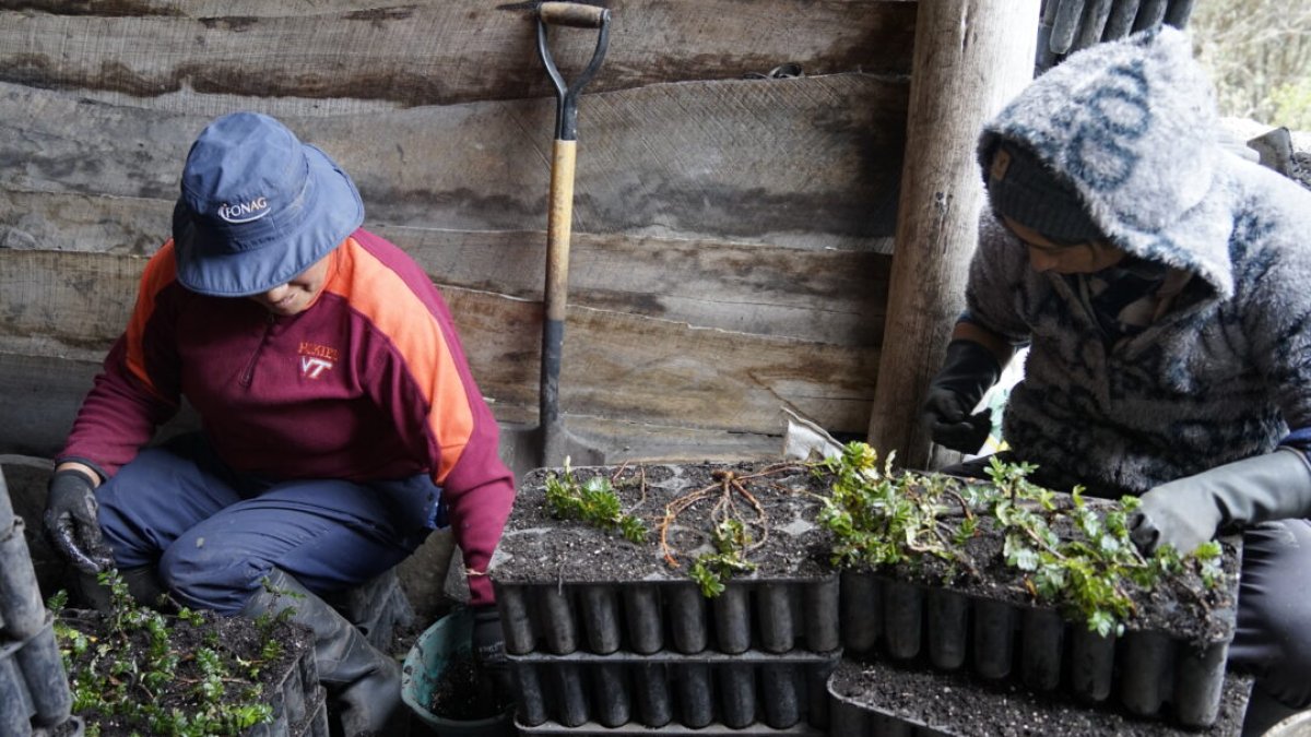 La capacitación en comunidades agrícolas es una de las estrategias para mejorar la gestión del agua y reducir riesgos de escasez en el largo plazo.