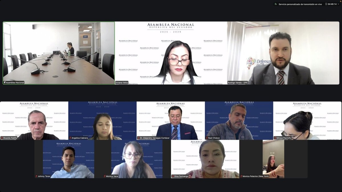 La sesión de la Comisión de la Niñez se desarrolló este 19 de marzo 2026 de forma virtual.