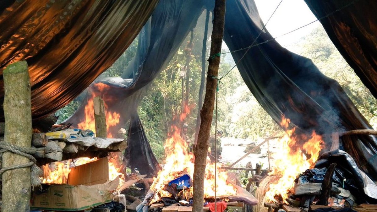 Desmantelan minería ilegal en Podocarpus: 94 bocaminas fueron destruidas