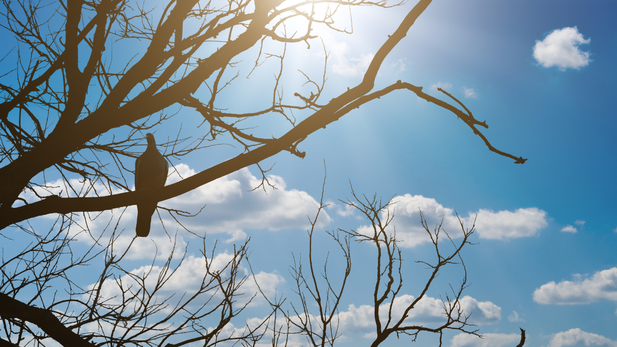 Referencial. Ecuador enfrenta este 27 de marzo lluvias intensas, tormentas eléctricas y niveles extremos de radiación UV.