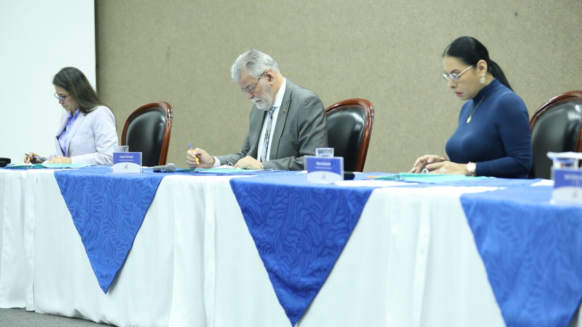 El Pleno del CNE se reunió para tratar la actualización del cronograma electoral.