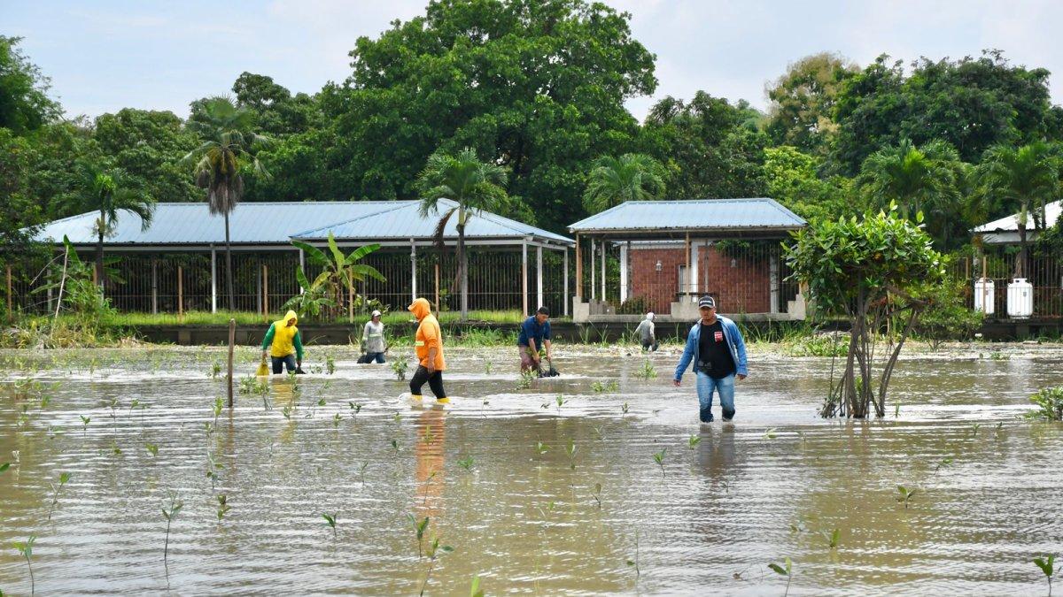 Los sospechosos trataron de subir a la vícitma al vehículo que conducía una mujer.