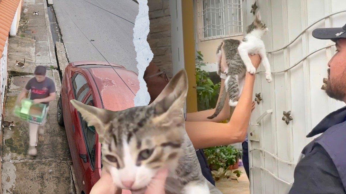 El hecho quedó captado en un video.