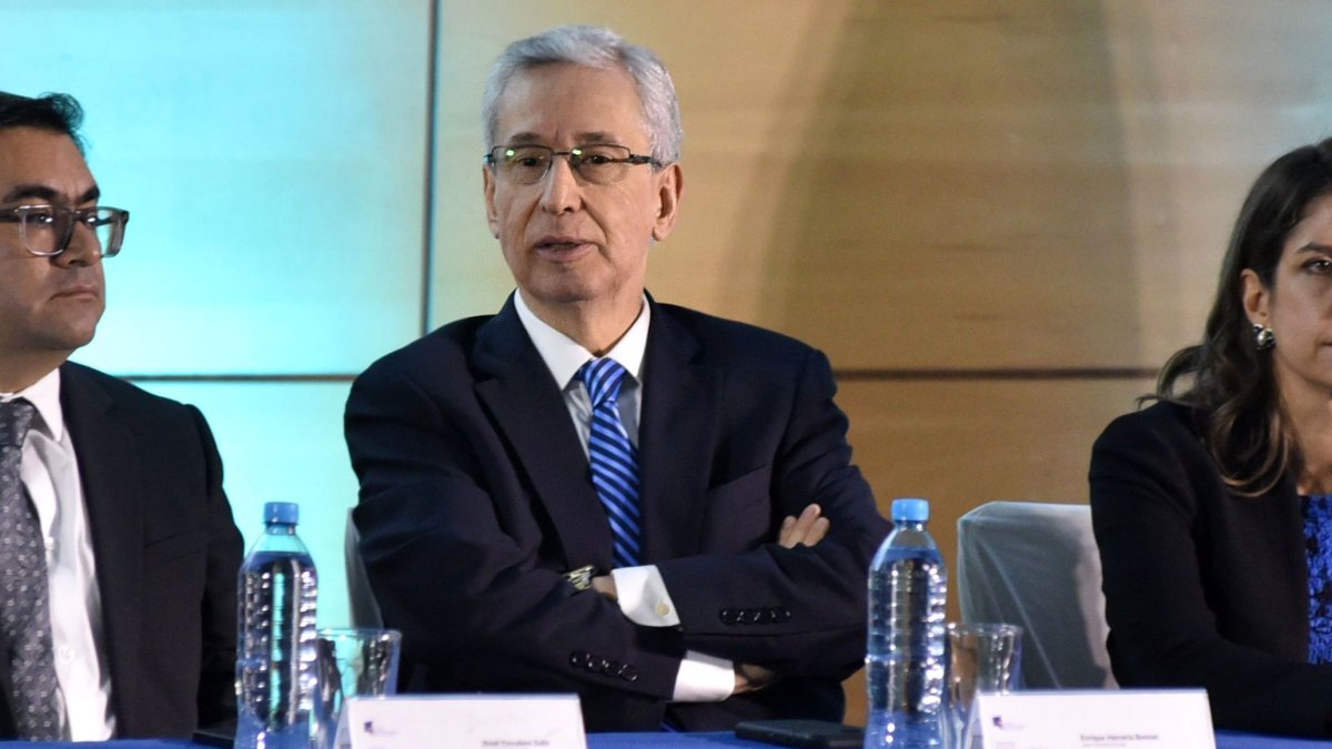 Herrería explicó que una primera revisión del dictamen le deja “preocupaciones” sobre el alcance de la resolución.