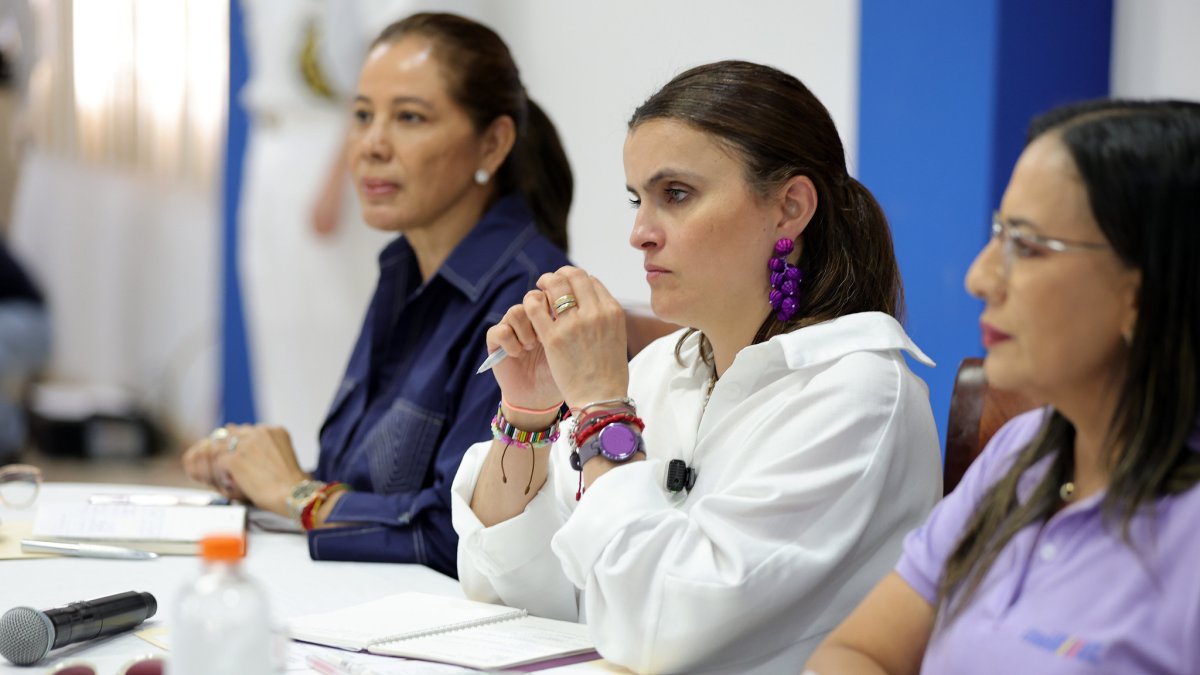 En noviembre de 2025, el CNA entregó a María José Pinto, vicepresidenta de Ecuador y encargada del Ministerio de Salud, un informe de actos irregulares en el sector.
