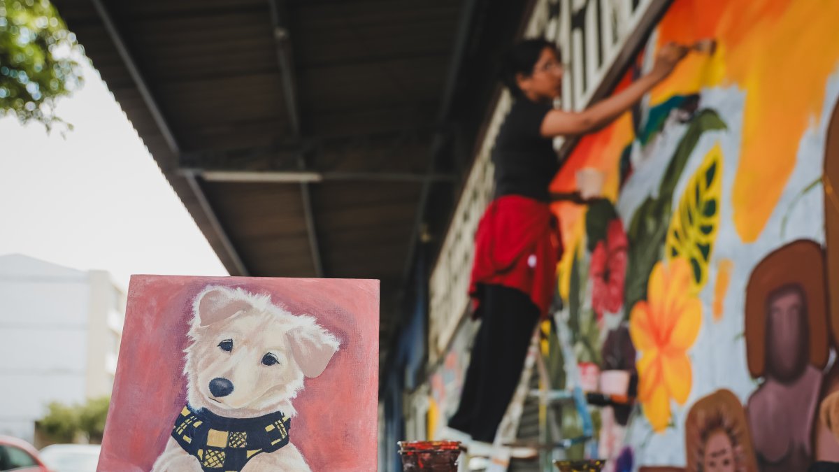 Ilustraciones podrán ser premiadas por el Muncipio.