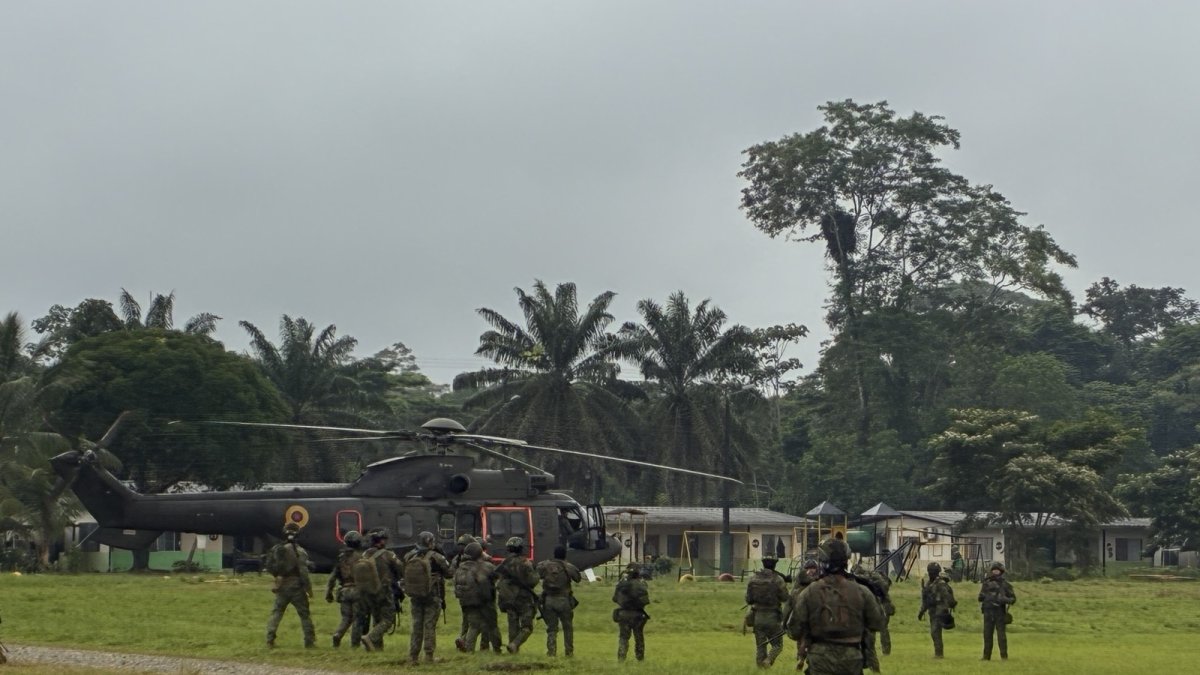 Una operación militar ejecutada por las Fuerzas Armadas permitió ubicar y bombardear un campamento de los Comandos de la Frontera.