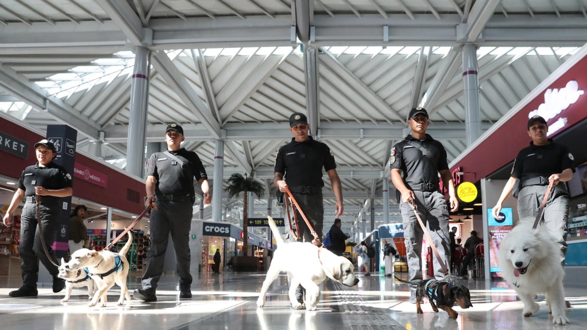 Integrantes de la Guardia Nacional caminan junto a perros del 'Escuadrón Canino' este lunes, en el Aeropuerto Internacional Felipe Ángeles (AIFA) en Santa Lucía (México).