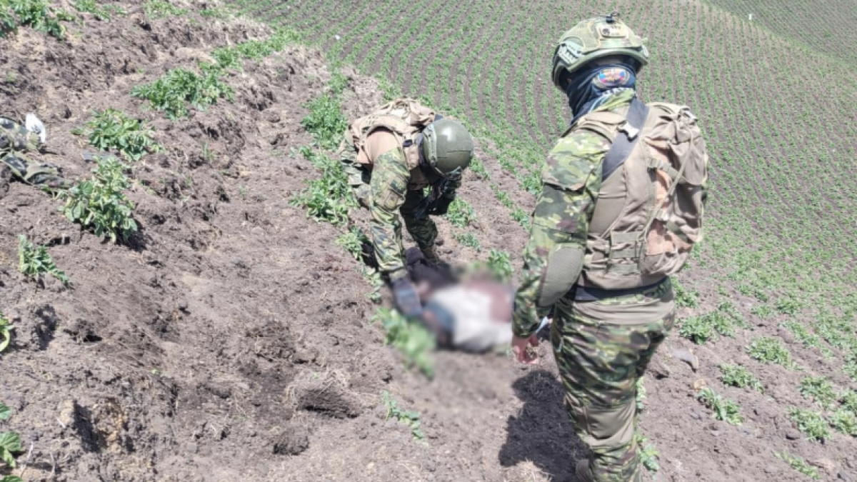 Referencial. Las autoridades realizan operativos en la frontera norte.