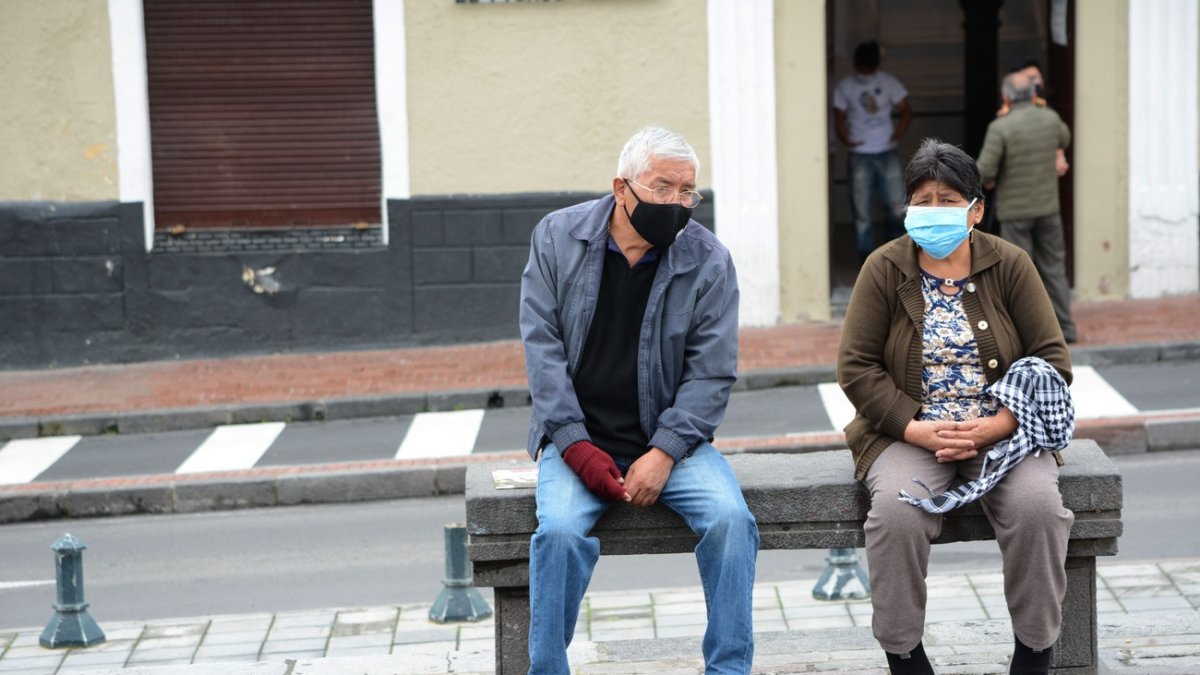 Según la Ley Orgánica de Adultos Mayores, este sector de la población puede demandar alimentos.