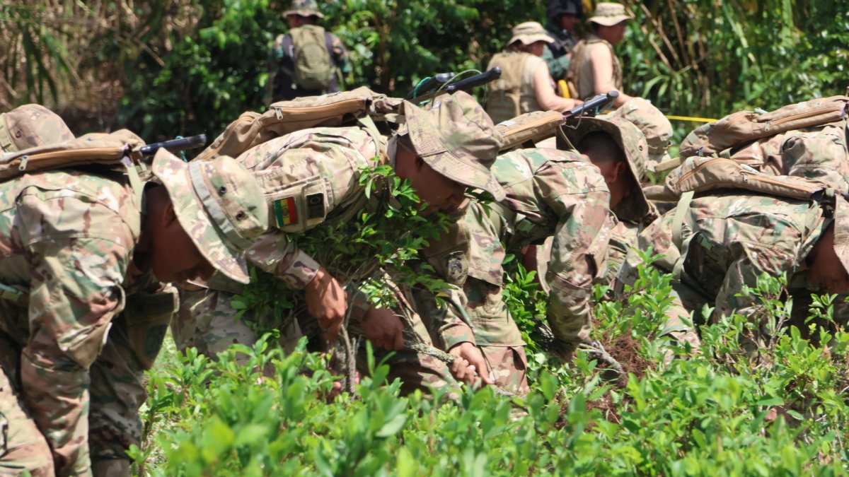 Militares participan en tareas de erradicación de cultivos ilegales de la hoja de coca este jueves en Chimore (Bolivia).