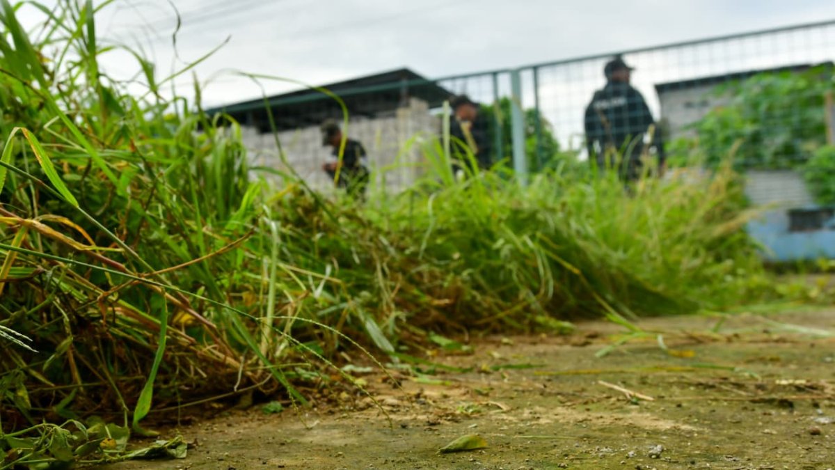 América. La CEPAL ha señalado, de acuerdo con los datos, que crecimiento del sector renovable puede convertirse en una herramienta decisiva para reducir las brechas sociales.