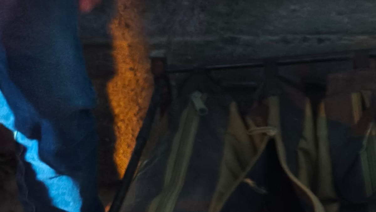 Durante el operativo en Guayllabamba, 25 gallos de pelea fueron rescatados y quedaron bajo custodia de la Unidad de Bienestar Animal tras la clausura de una gallera clandestina en Quito.