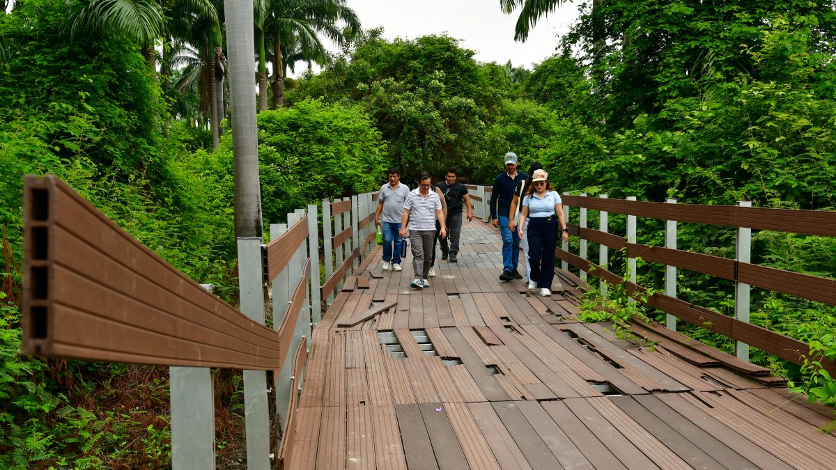 Problemas.  Las camineras deben ser reemplazadas por unas de