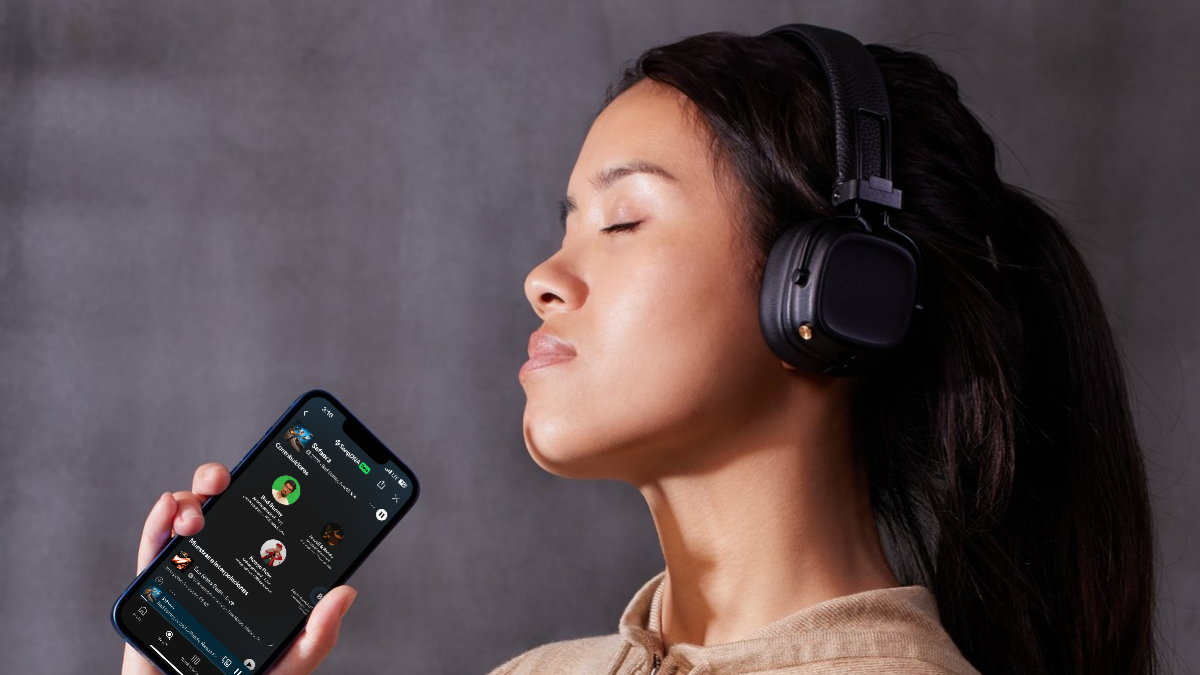 La herramienta está disponible al actualizar Spotify.