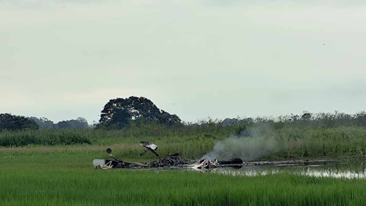 Una de las avionetas siniestradas cayó sobre una zona de cultivos en Puebloviejo, la mañana de este jueves 26 de marzo.