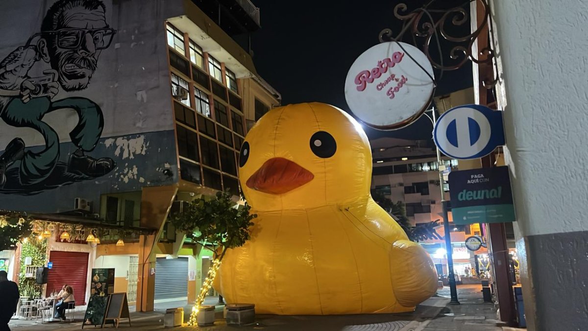 Un Pato inflable gigante fue colocado en Panamá e Imbabura.