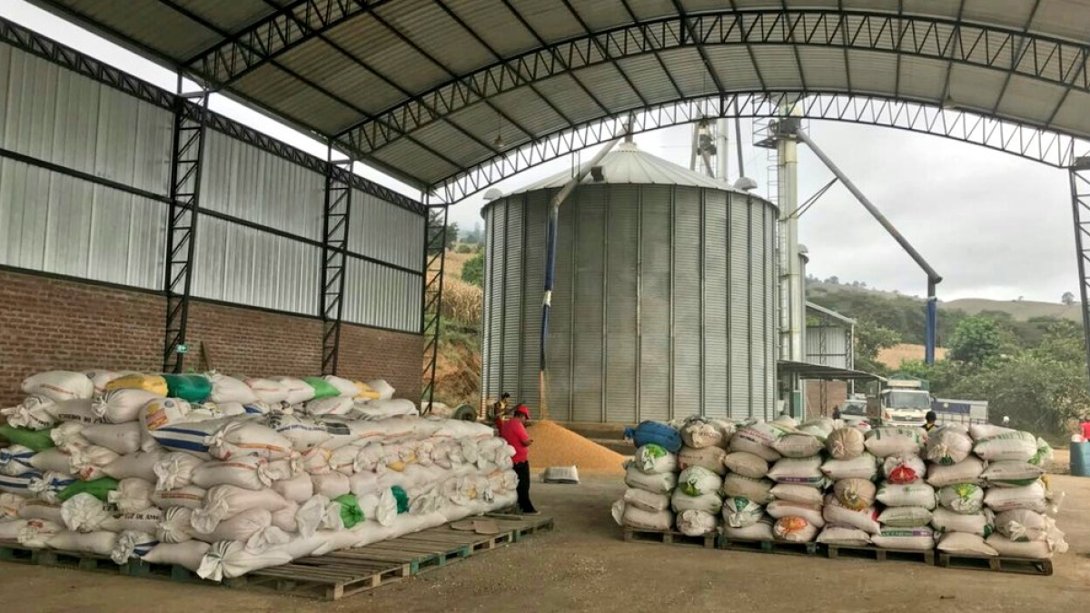 La comercialización de productos como el maíz, que cuentan con PMS, está bajo la lupa de la Comisión de Soberanía Alimentaria, que prepara el informe para segundo debate.