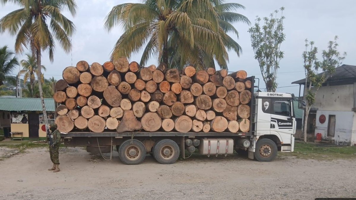 Militares decomisaron madera sin permisos en Taisha y neutralizaron una draga en el río Aguarico.