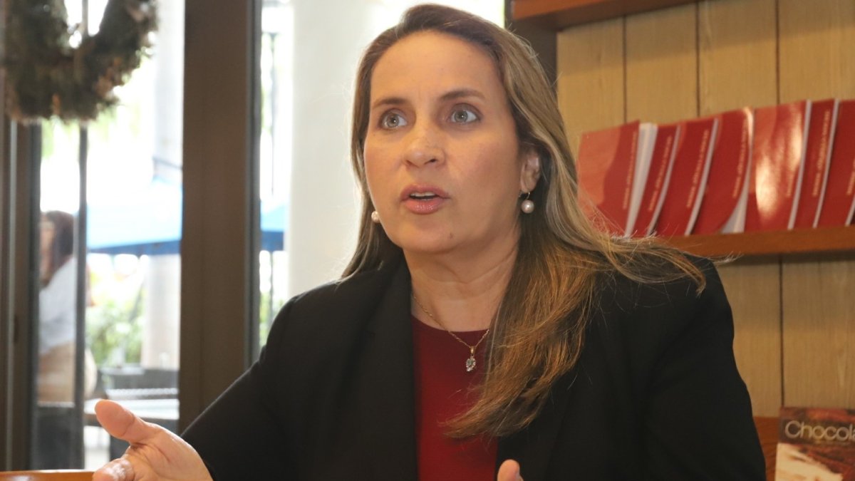 Según el ministro de Trabajo, Harold Burbano, la sentencia que le ordena corregir el supuesto impedimento de Alexandra Villacís 