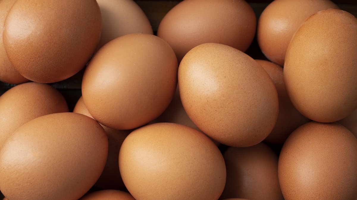 Ecuador tiene el permiso saniario para exportar huevo a Emiratos Árabes Unidos.