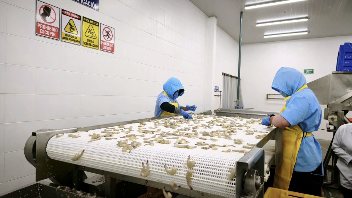 Las exportaciones impulsaron el crecimiento económico en 2025.