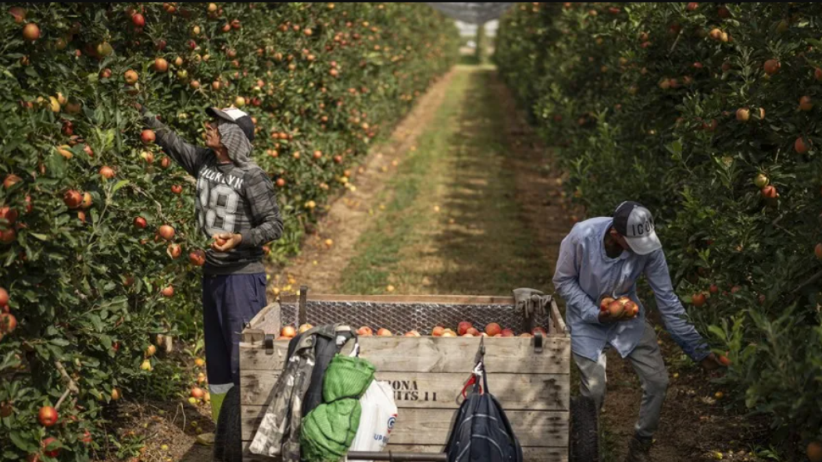 Los migrantes ecuatorianos enviaron más de $7.000 millones en remesas