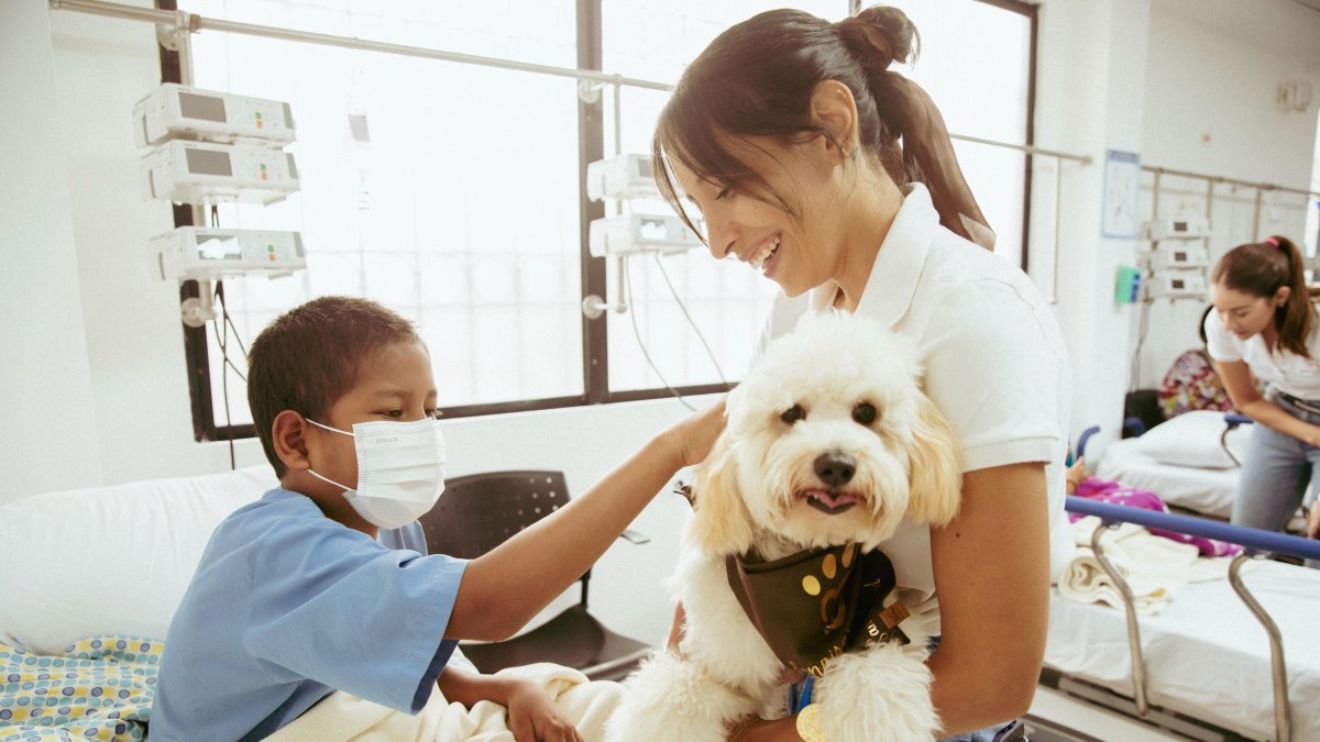El auge de los ‘perrihijos’ refleja un cambio claro en la forma en que las personas se relacionan con sus perros.