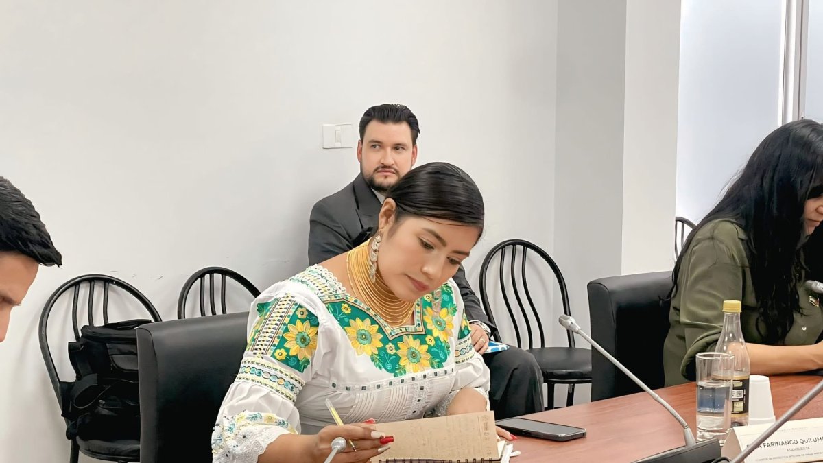 Dina Farinango, asambleísta por Pachakutik , solicita al SRI detalles sobre alza del IVA en alimentos