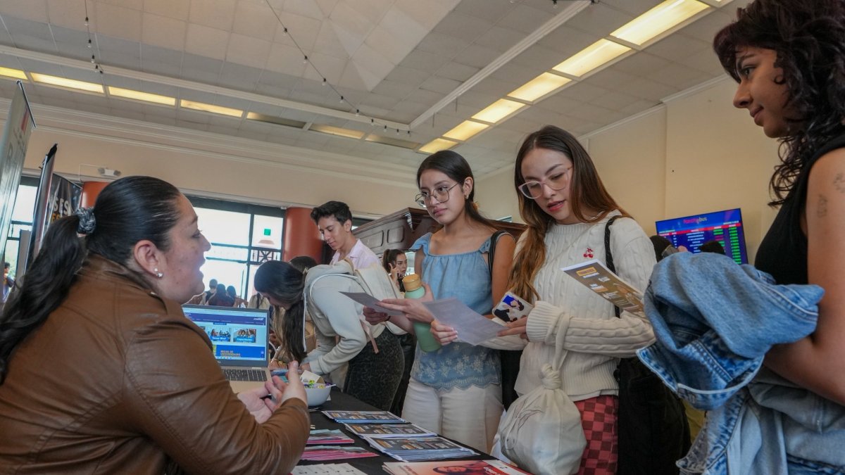 Los postulantes podrán acceder a cupos en institutos públicos a través del proceso de postulación en línea.