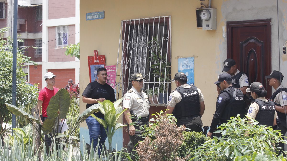 Preocupación por gatos de Jorge Cuesta en Sauces 6, norte de Guayaquil.