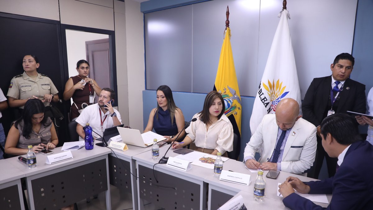 La asambleísta Inés Alarcón (c) preside la Comisión de Seguridad.