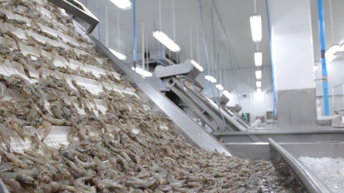 Sectores como la agricultura, silvicultura, caza y pesca atrajeron la inversión extranjera.